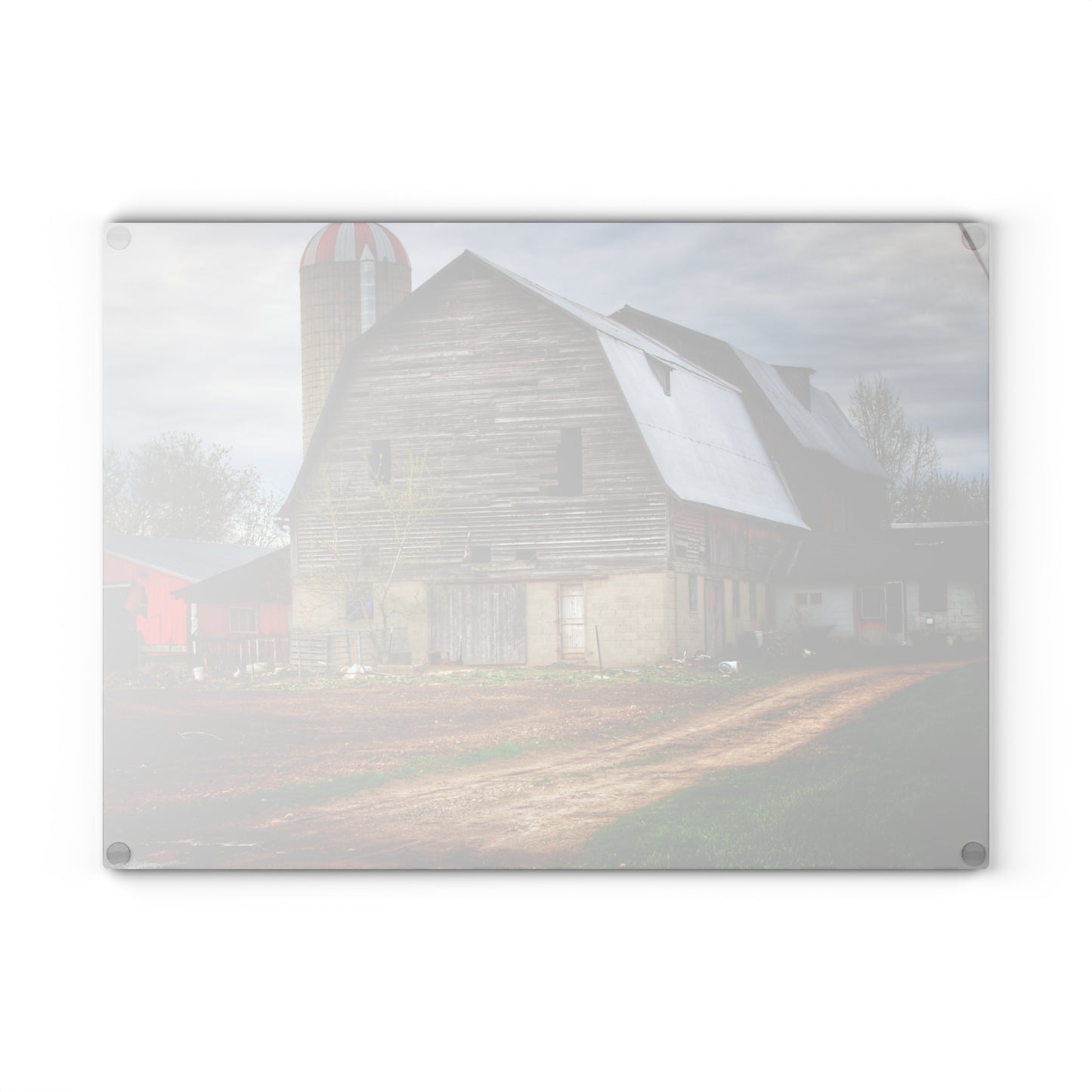 U R There Photography Murphy Lake Road Grey I Rustic Farmhouse Tempered-Glass Cutting Board