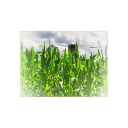 U R There Photography Beyond the Corn in Millington Rustic Farmhouse Decorative Ceramic Tile