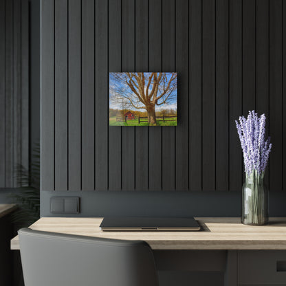 U R There Photography Delano Oak and Little Red Rustic Farmhouse Acrylic Wall Print