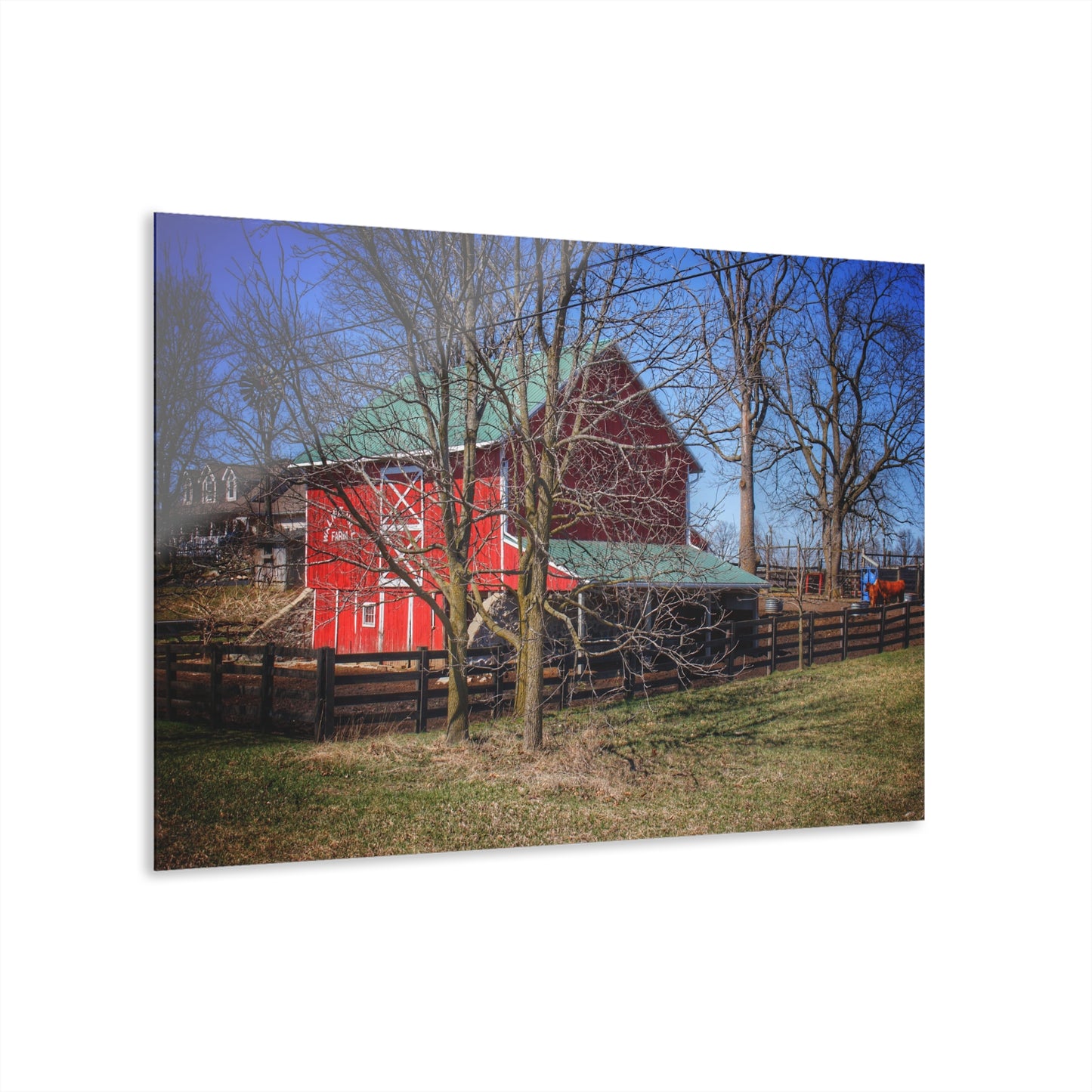 U R There Photography Imlay City Road Cow Barn II Rustic Farmhouse Acrylic Wall Print 14 "x 11"