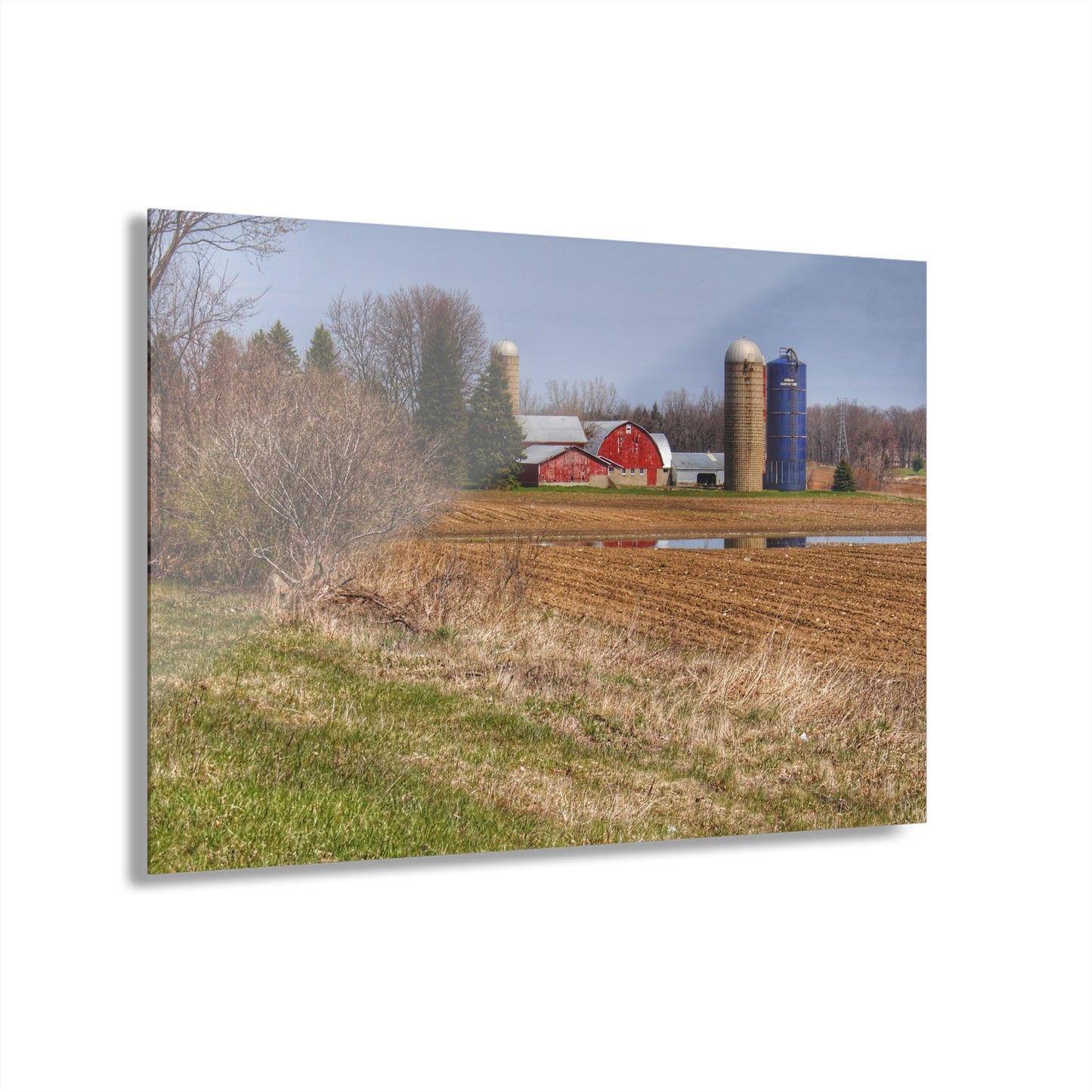 U R There Photography M-24 Northern Reds Farm Rustic Farmhouse Acrylic Wall Print