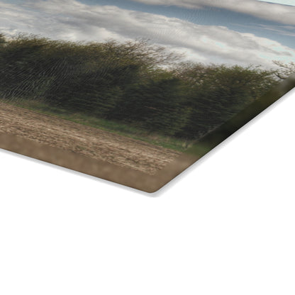 U R There Photography Sandusky Grey in the Pines Rustic Farmhouse Tempered-Glass Cutting Board