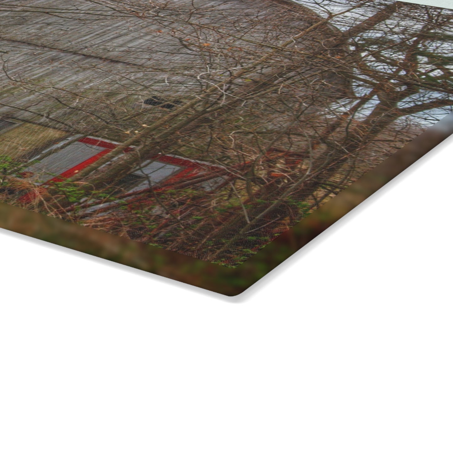 U R There Photography West Murphy Lake Road Grey Rustic Farmhouse Tempered-Glass Cutting Board