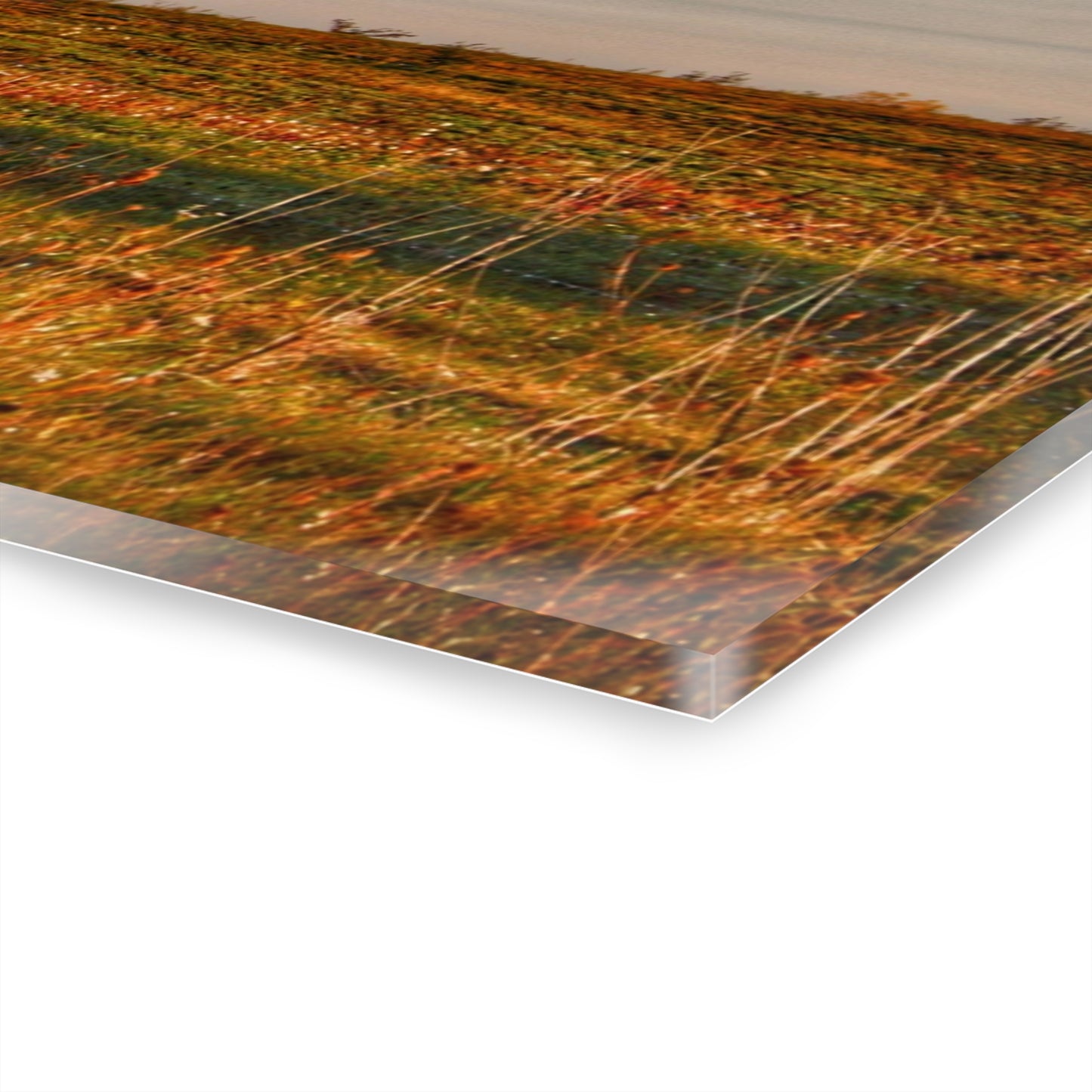 U R There Photography North Lake Pleasant Little Red II Rustic Farmhouse Acrylic Wall Print