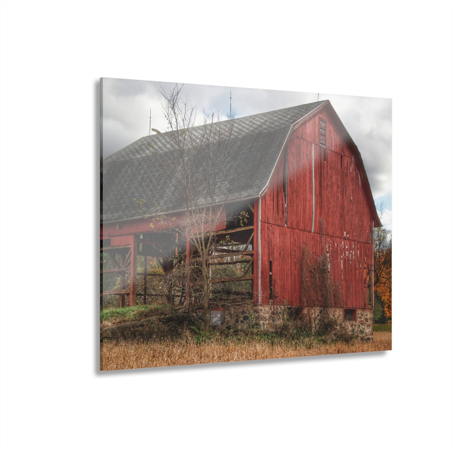U R There Photography Laur Road Forgotten Red II Rustic Farmhouse Acrylic Wall Print