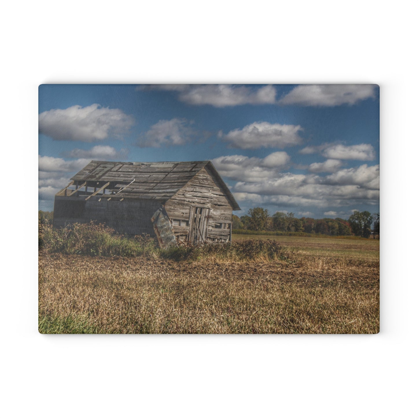 U R There Photography Freiberger Road Little Grey Shack Rustic Farmhouse Tempered-Glass Cutting Board