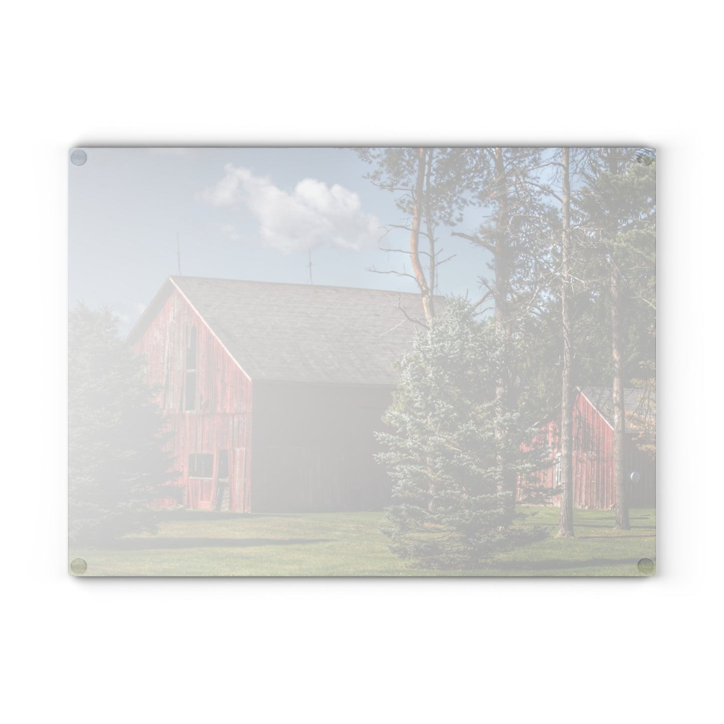 U R There Photography Havens Road Red Among the Pines Rustic Farmhouse Tempered-Glass Cutting Board