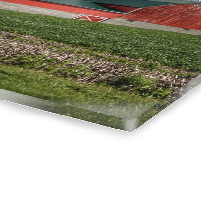 U R There Photography Haines Road Cornfield Reds Rustic Farmhouse Acrylic Wall Print