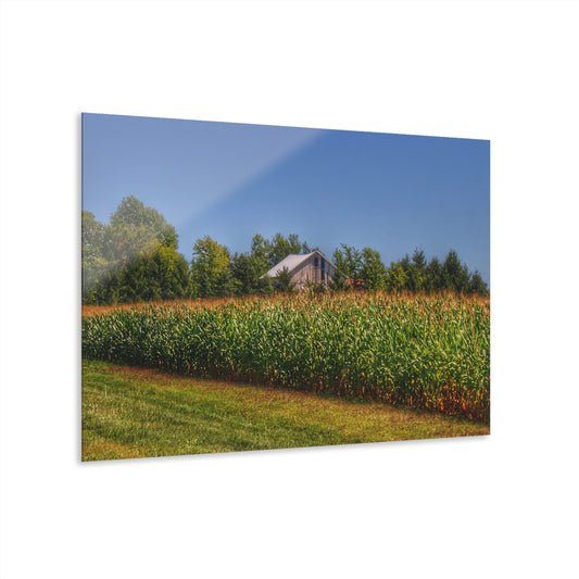 U R There Photography Beyond the Corn on Birch Road Run Rustic Farmhouse Acrylic Wall Print 14 "x 11