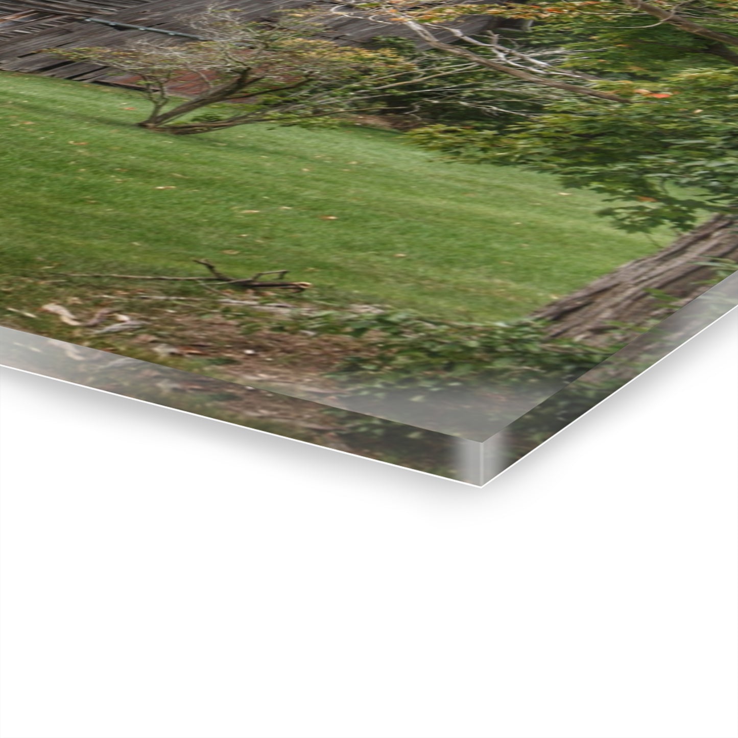 U R There Photography Hayes Road Hidden II Rustic Farmhouse Acrylic Wall Print