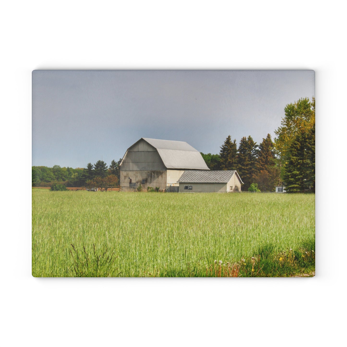 U R There Photography North Graf Road White Rustic Farmhouse Tempered-Glass Cutting Board