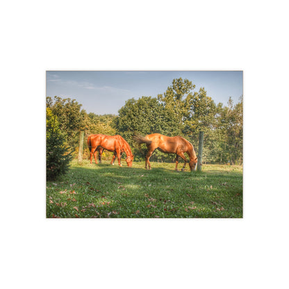 U R There Photography Caramel Horses Rustic Farmhouse Decorative Ceramic Tile