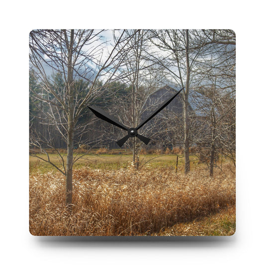 Speaker Road Hidden Grey Rustic Farmhouse Acrylic Analog Wall Clock 10.75'' × 10.75'' (Square)