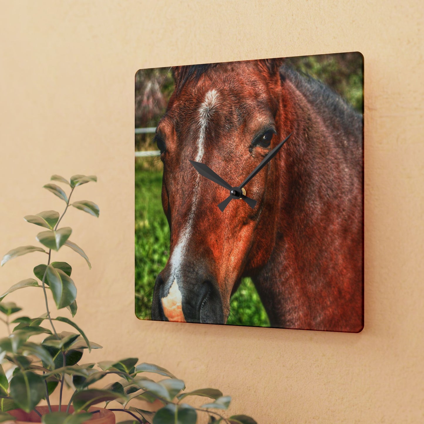 U R There Photography Irish Road Brownie Rustic Farmhouse Acrylic Analog Wall Clock