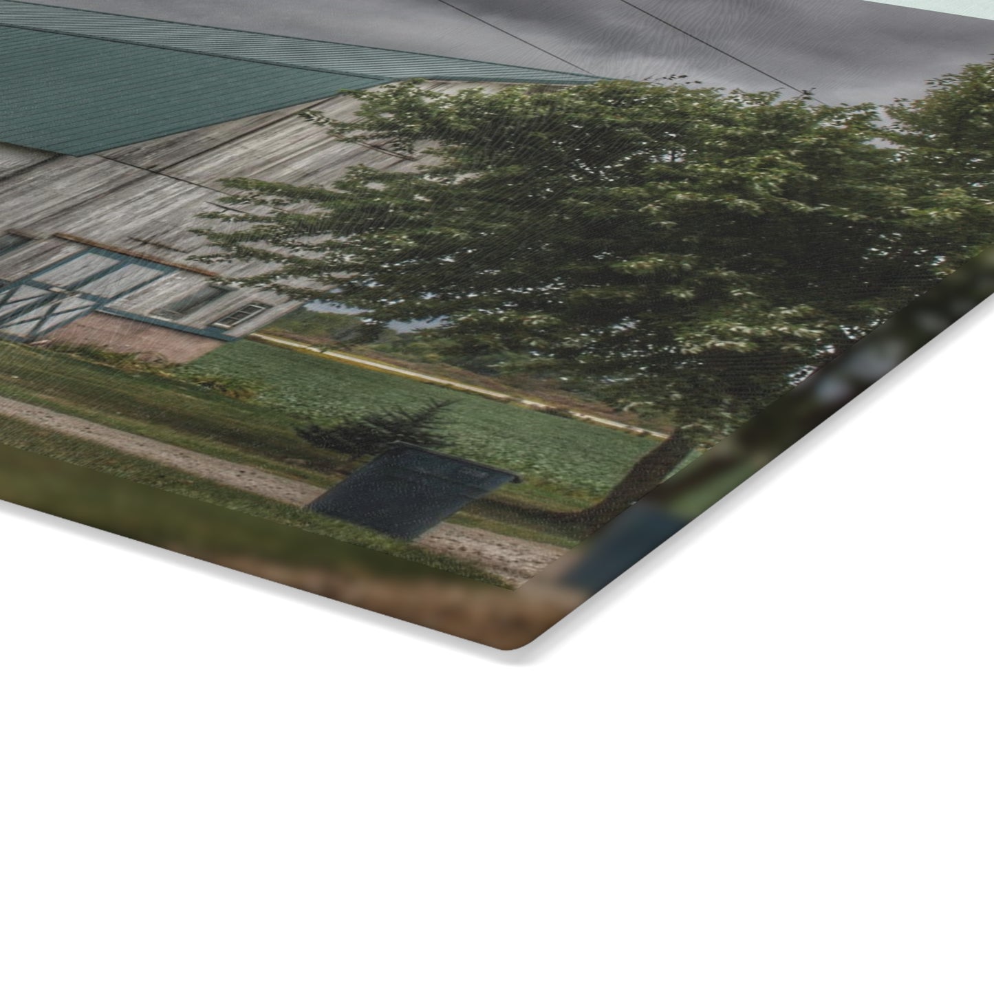 U R There Photography Bristol Road White II Rustic Farmhouse Tempered-Glass Cutting Board