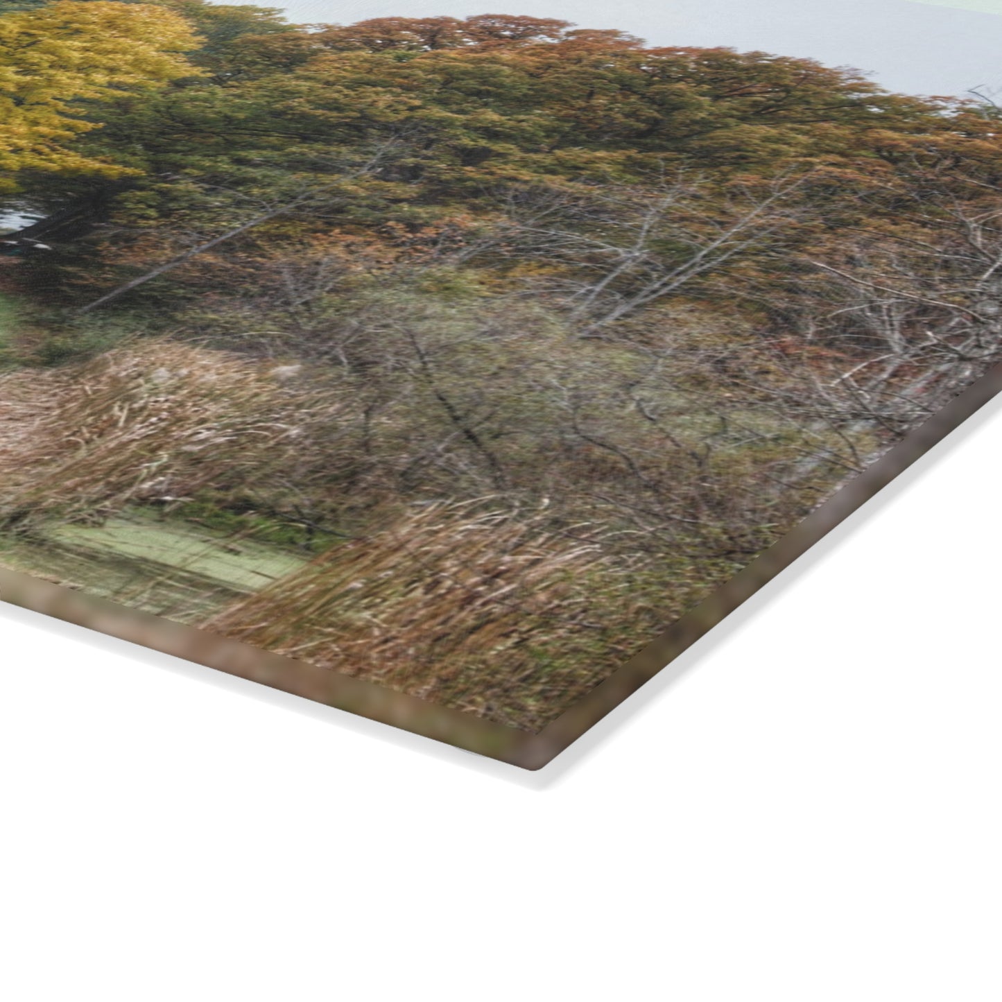U R There Photography Country Roads in Dryden I Rustic Farmhouse Tempered-Glass Cutting Board