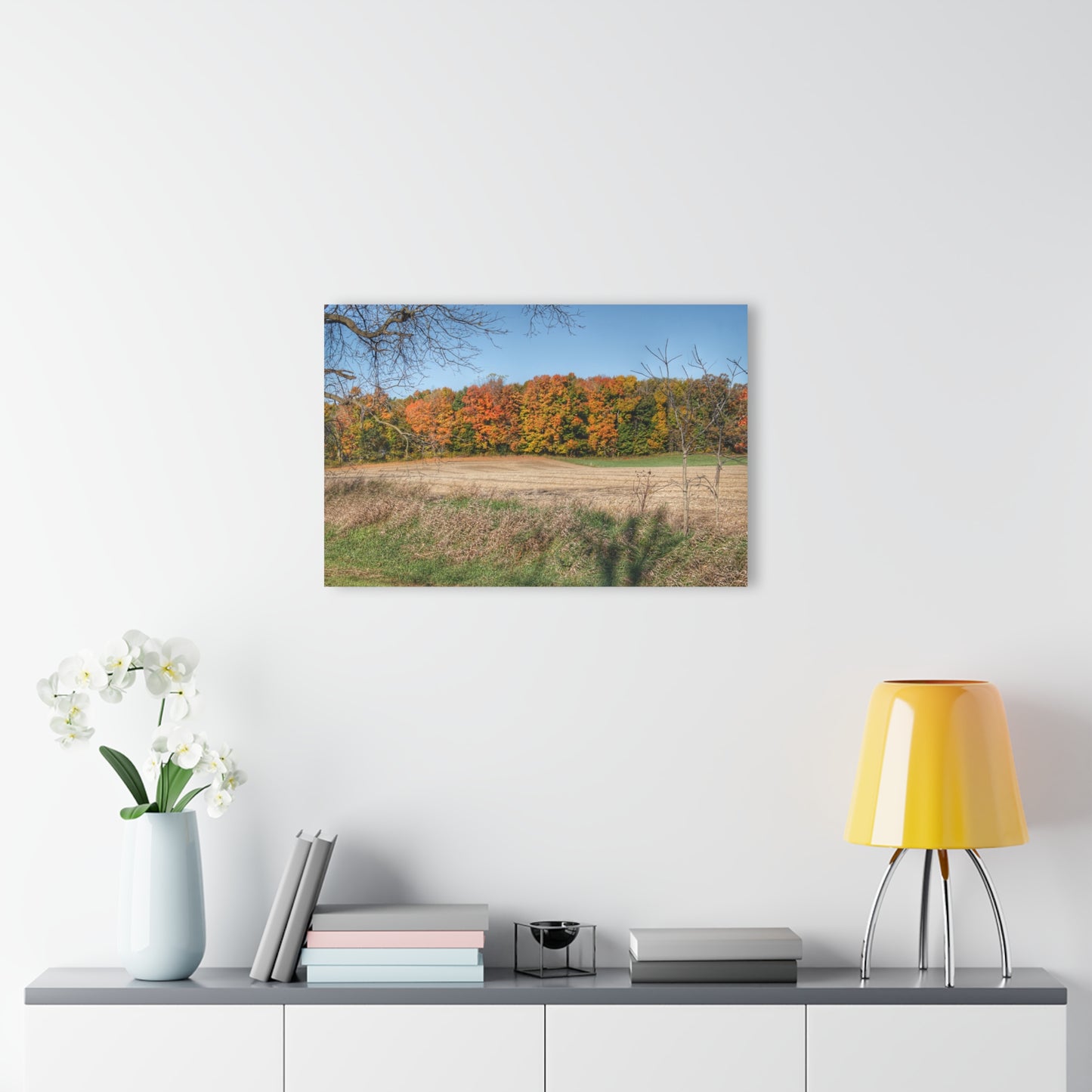 Barn Boutique Modern Farmhouse Acrylic Wall Print| Fall on Piersonville Road