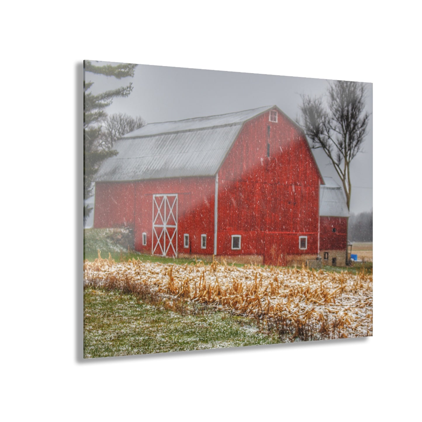U R There Photography Shoemaker Road Winter Reds I Rustic Farmhouse Acrylic Wall Print