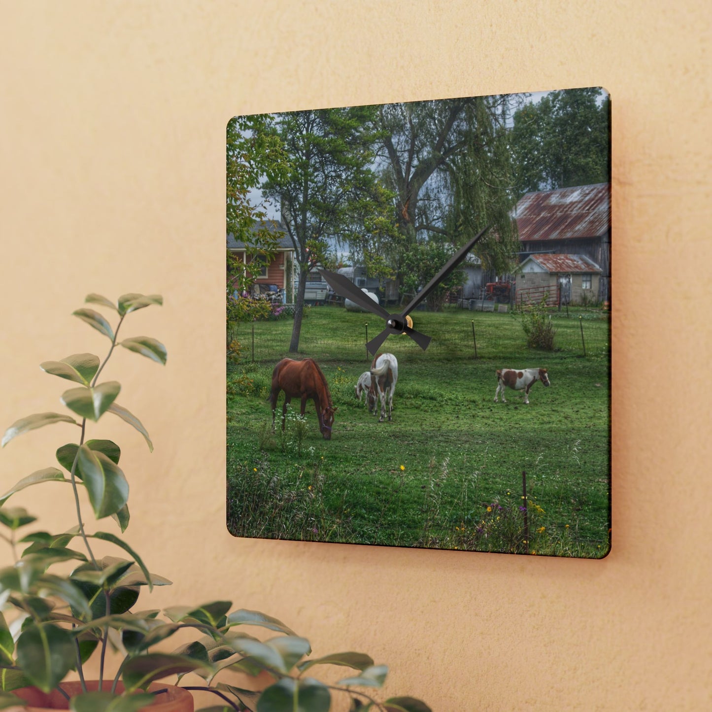 U R There Photography Front Yard Ponies Rustic Farmhouse Acrylic Analog Wall Clock