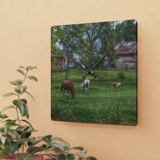 U R There Photography Front Yard Ponies Rustic Farmhouse Acrylic Analog Wall Clock