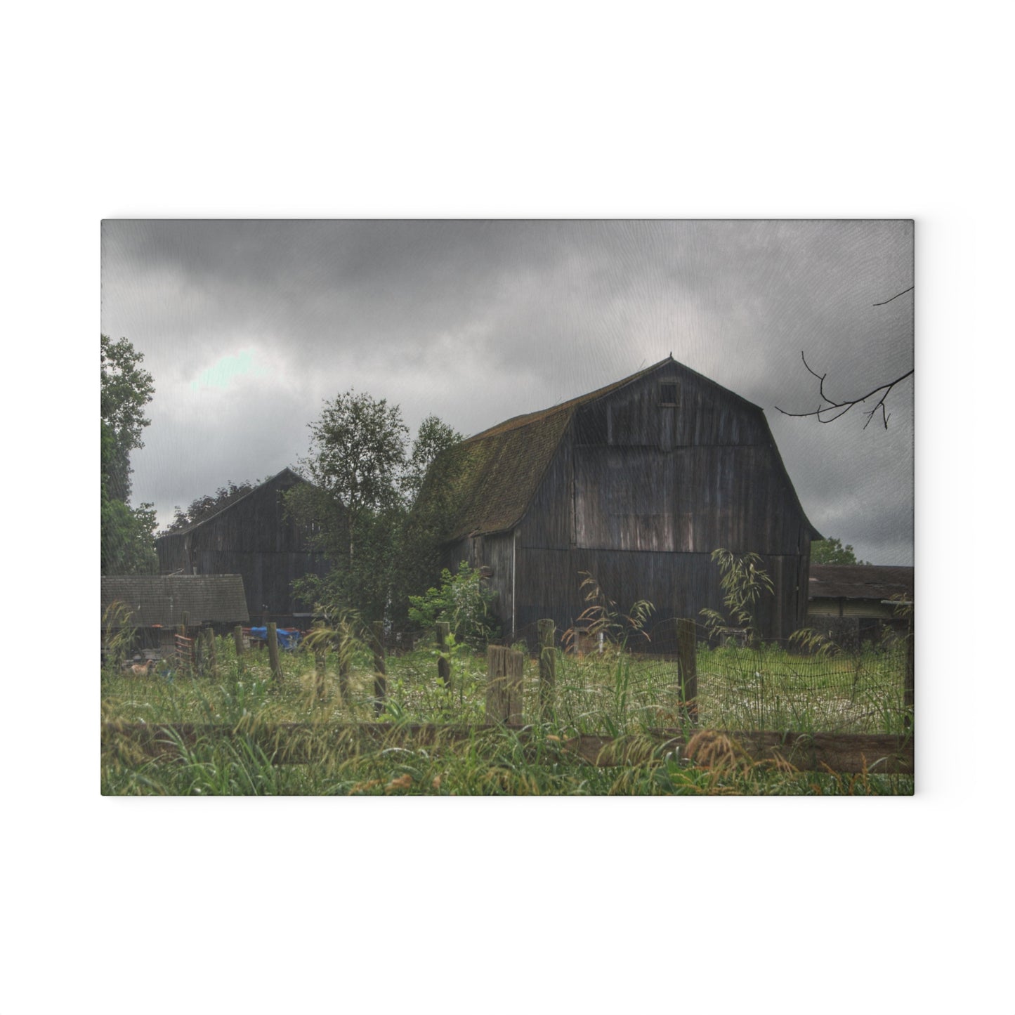 U R There Photography Greys of Summer Road Rustic Farmhouse Tempered-Glass Cutting Board