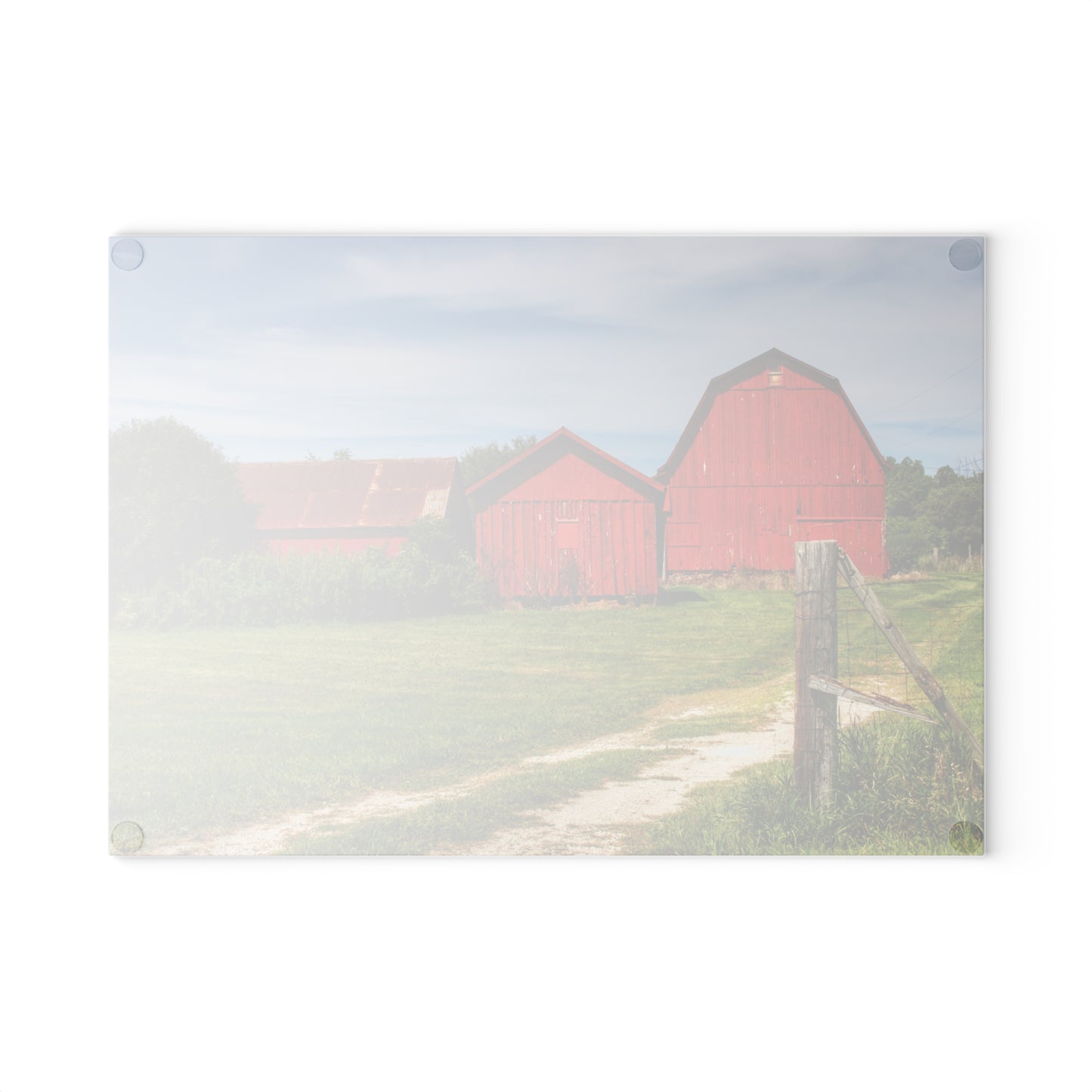 U R There Photography South Oak Road Reds I Rustic Farmhouse Tempered-Glass Cutting Board