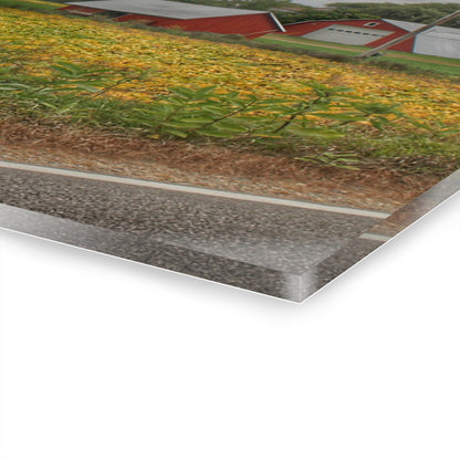 U R There Photography Kingston Road Trio III Rustic Farmhouse Acrylic Wall Print