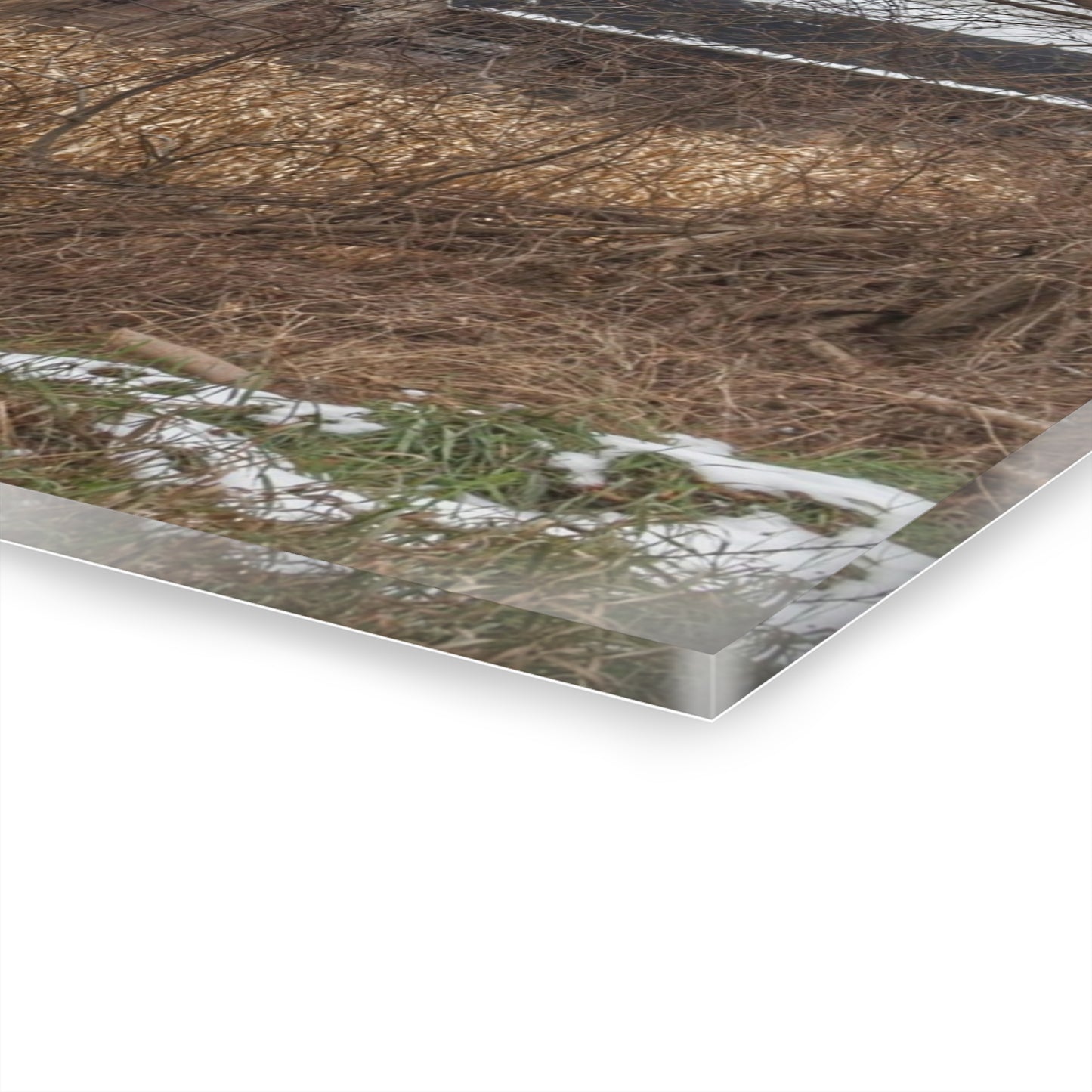 U R There Photography North Oxford Road Grey I Rustic Farmhouse Acrylic Wall Print