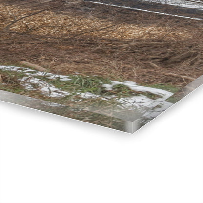 U R There Photography North Oxford Road Grey I Rustic Farmhouse Acrylic Wall Print