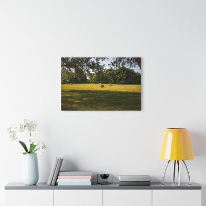 U R There Photography Summer Haybales I Rustic Farmhouse Acrylic Wall Print