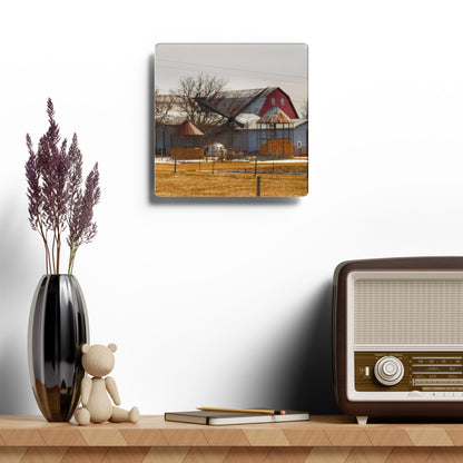 U R There Photography Hidden Red Rustic Farmhouse Acrylic Analog Wall Clock