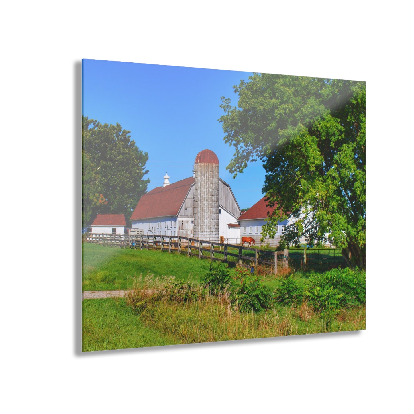U R There Photography Vienna Roadside White Rustic Farmhouse Acrylic Wall Print
