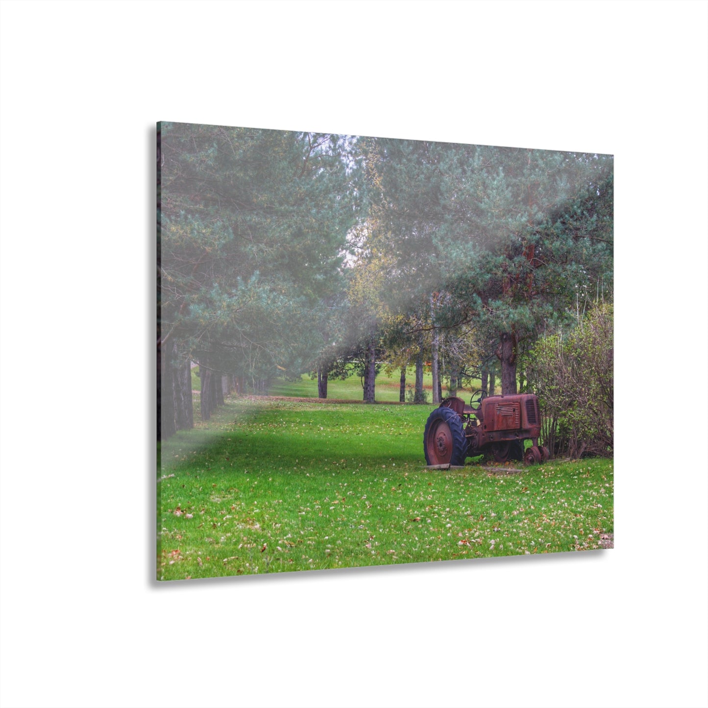 U R There Photography Casey Road Yard Art II Rustic Farmhouse Acrylic Wall Print