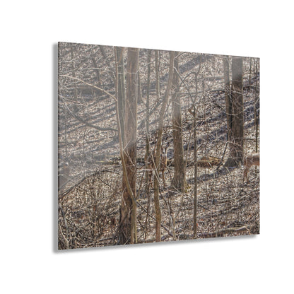 U R There Photography Three Does of Dryden Rustic Farmhouse Acrylic Wall Print