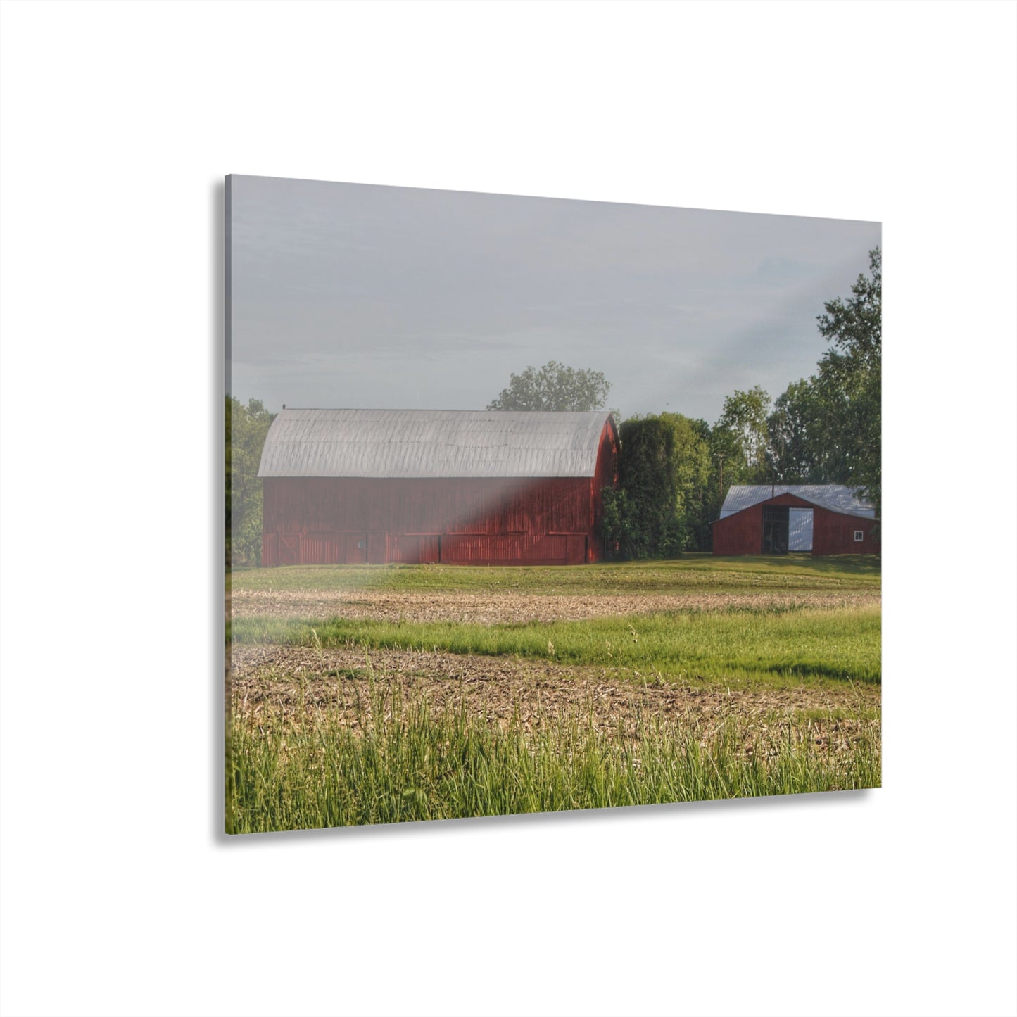 U R There Photography Catlin Road Reds Rustic Farmhouse Acrylic Wall Print
