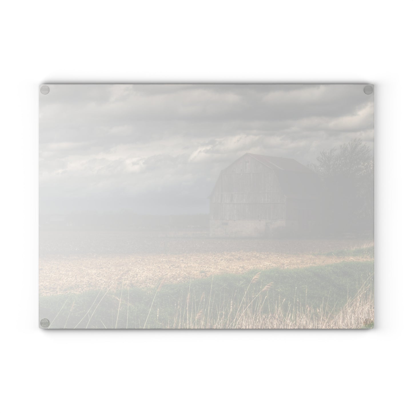 U R There Photography Sandusky Grey I Rustic Farmhouse Tempered-Glass Cutting Board