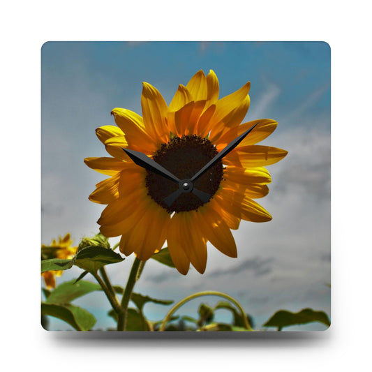 U R There Photography Awakening Sunflower Rustic Farmhouse Acrylic Analog Wall Clock 10.75'' × 10.75'' (Square)