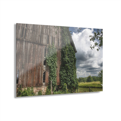 U R There Photography North Branch Ivy Grey II Rustic Farmhouse Acrylic Wall Print