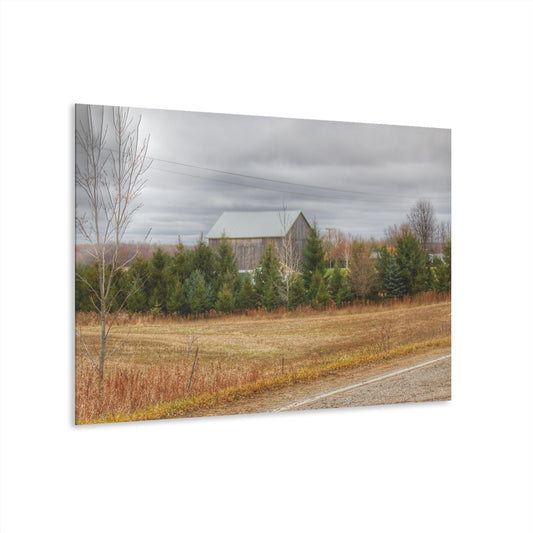 U R There Photography Burnside Grey Rustic Farmhouse Acrylic Wall Print