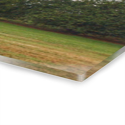 U R There Photography Eddy Road Grey I Rustic Farmhouse Acrylic Wall Print 14 "x 11"