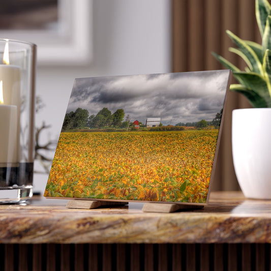 U R There Photography Golden Fields Farm Rustic Farmhouse Decorative Ceramic Tile