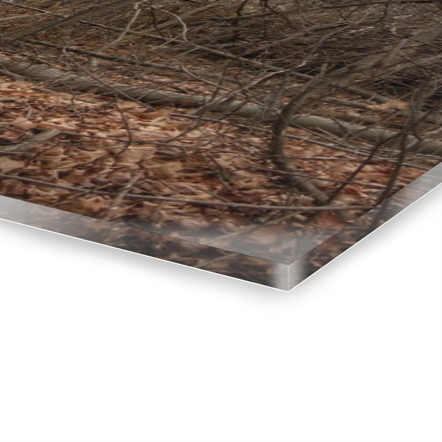 U R There Photography Mayville Hidden Barn II Rustic Farmhouse Acrylic Wall Print