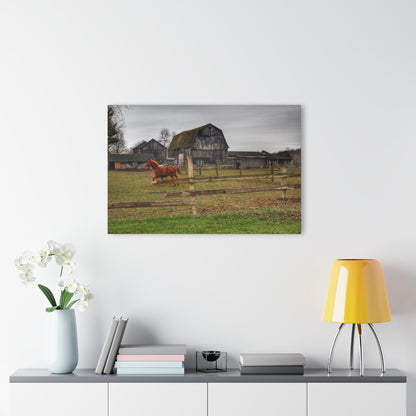 U R There Photography South Summers Road Old Grey and Caramel III Rustic Farmhouse Acrylic Wall Print