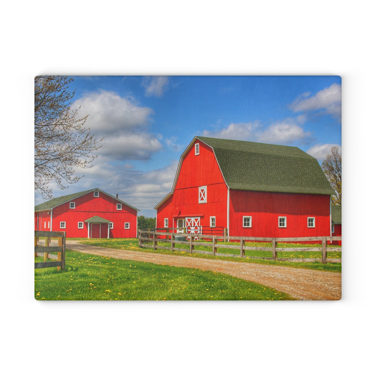 U R There Photography Sohn Road Reds Rustic Farmhouse Tempered-Glass Cutting Board