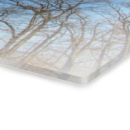 U R There Photography Our Grand Old Flag Rustic Farmhouse Acrylic Wall Print