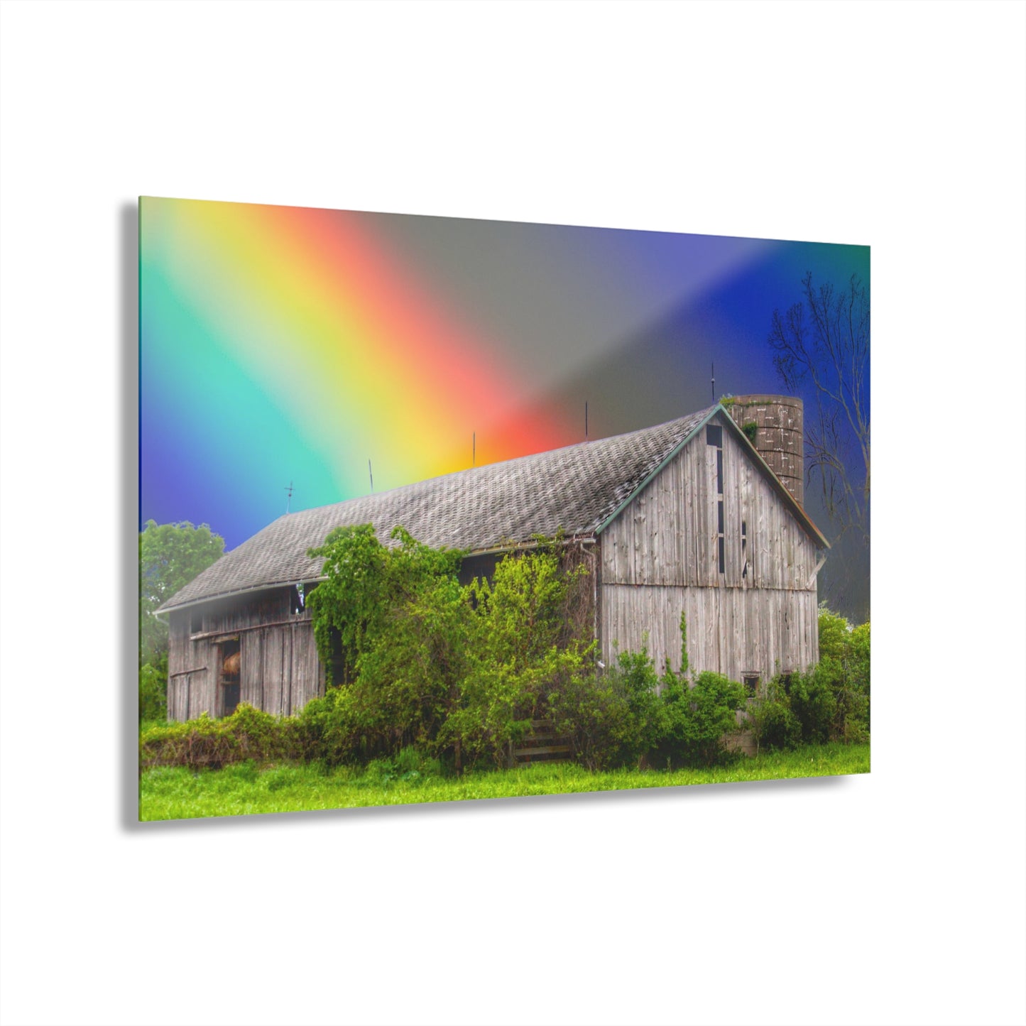 U R There Photography Wilder Road Wonderment Rustic Farmhouse Acrylic Wall Print