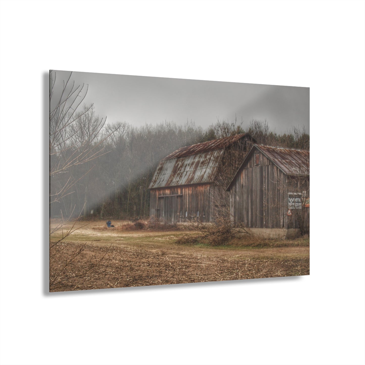 U R There Photography Arbela Road Greys Rustic Farmhouse Acrylic Wall Print