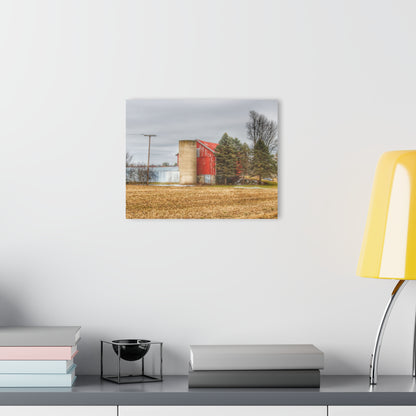 U R There Photography Laur Road Red Among the Pines I Rustic Farmhouse Acrylic Wall Print