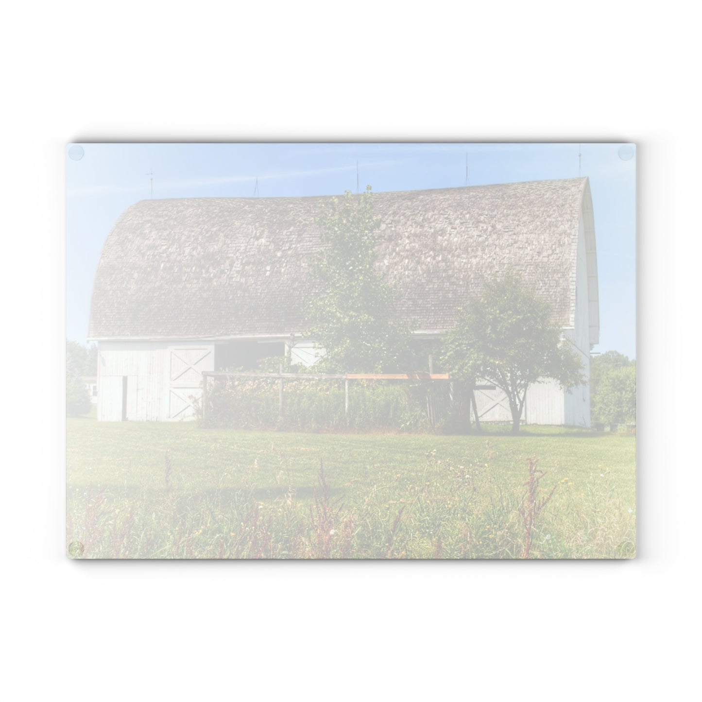 U R There Photography Country White Rustic Farmhouse Tempered-Glass Cutting Board