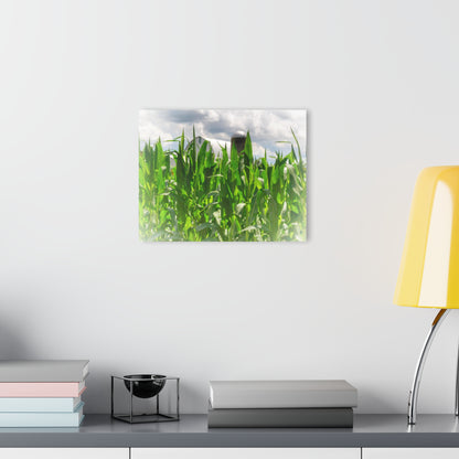 U R There Photography Beyond the Corn in Millington Rustic Farmhouse Acrylic Wall Print